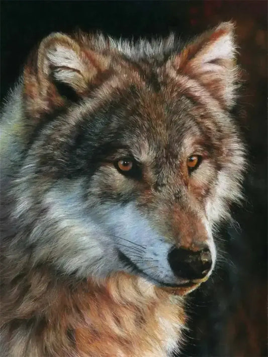 Red Wolf Handmade Home Decoration Embroidery Picture|SPECIFICATIONS Pattern Type: Red Wolf Use: Paintings Frame: No Style: Modern Style External Packaging: Colored Box Canvas Packing Method: Folded Material: 100% Cotton|Red Wolf Vision